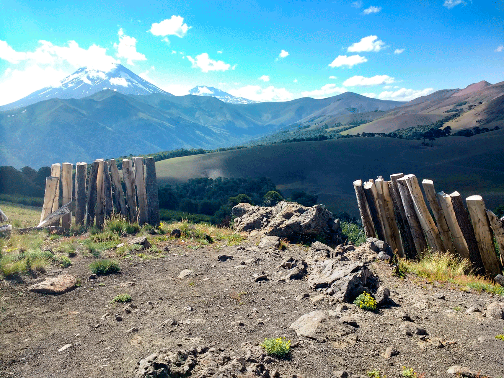 ruta_pehuenche